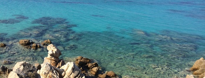 Kavourotrypes is one of Sithonia's beaches.