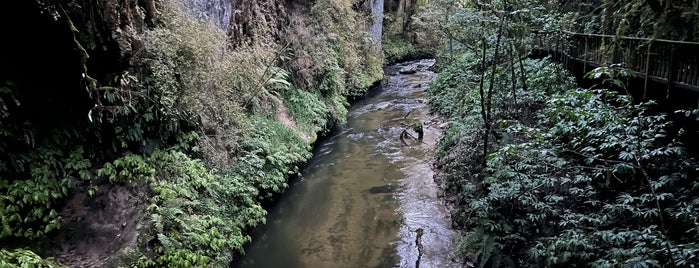 Mangapohue Natural Bridge is one of Nuova Zelanda.