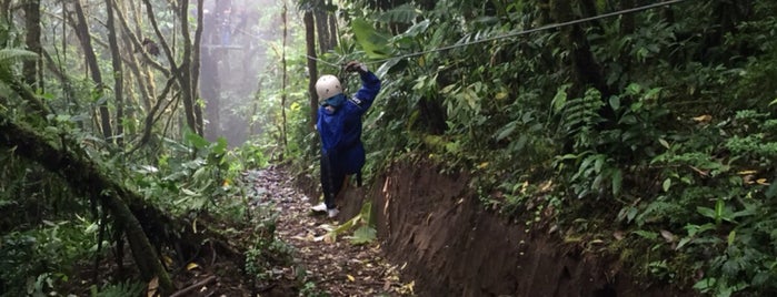 Selvatura Canopy Tour Monteverde is one of Lugares favoritos de Josh.