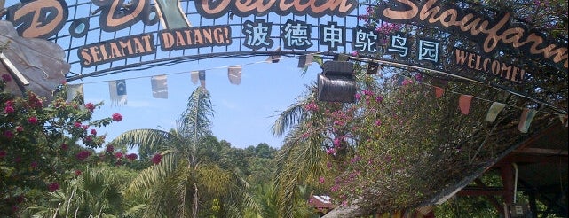 PD Ostrich Farm is one of Things to do in Port Dickson,N9.