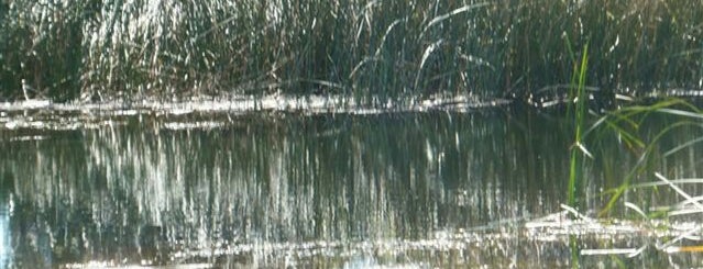 Sands duck pond is one of Süd-Kalifornien / USA.