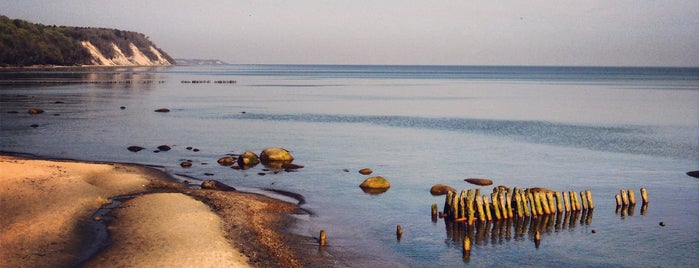 Svetlogorsk Beach is one of ОТДЫХ.