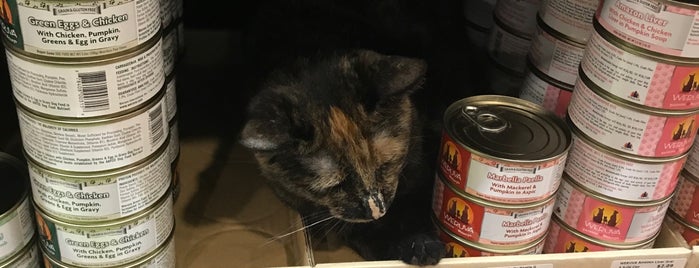 Beasty Feast is one of The 15 Best Pet Stores in New York City.