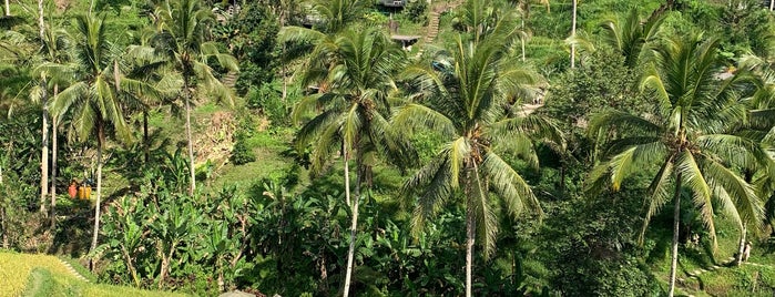 Rice Terrace Cafe is one of BALI VACATION.