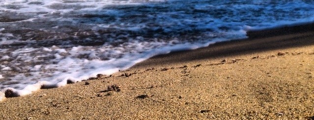 Platja de Santa Cristina is one of PLAYAS y CALAS COSTA BRAVA.