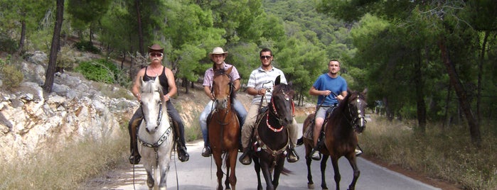 Horse riding is one of Weekend in Agistri.