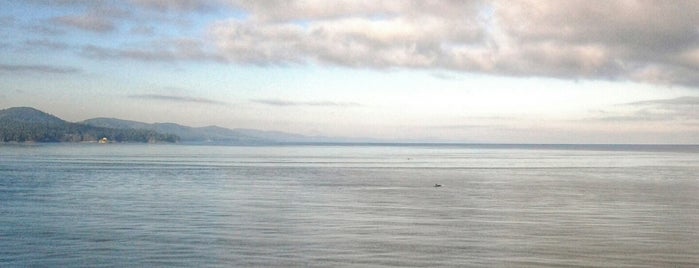 BC Ferries is one of Lieux qui ont plu à Felicity.