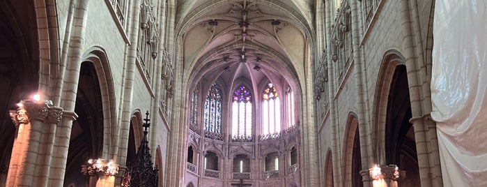 Église Saint-Nizier is one of Lyon.