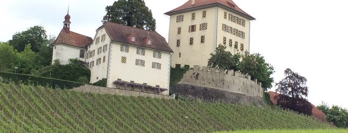 Schloss Heidegg is one of Swiss Museum Pass.