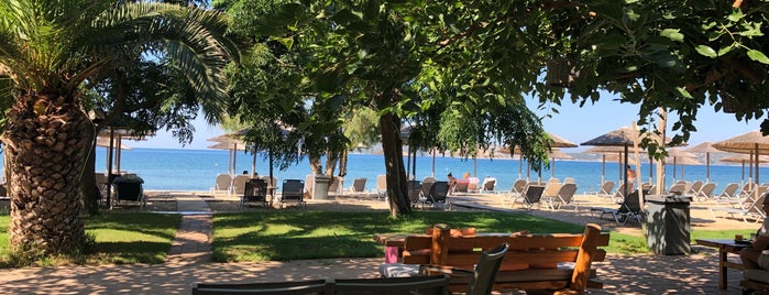 Natura by Zoe Resort is one of Ada'nın Beğendiği Mekanlar.