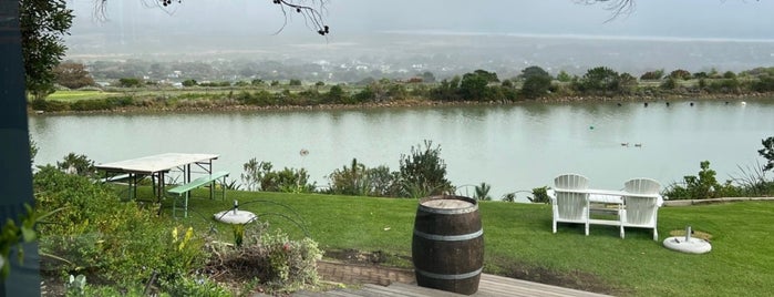 Cape Point Vineyards is one of SA.