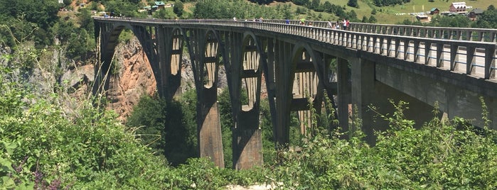 Pont de Đurđevića Tara is one of Lieux qui ont plu à S.