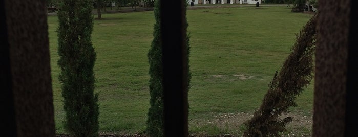 Whitney Plantation is one of Nola Haven't Been.