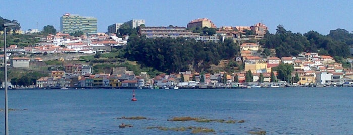 Fluvial is one of Portugália.
