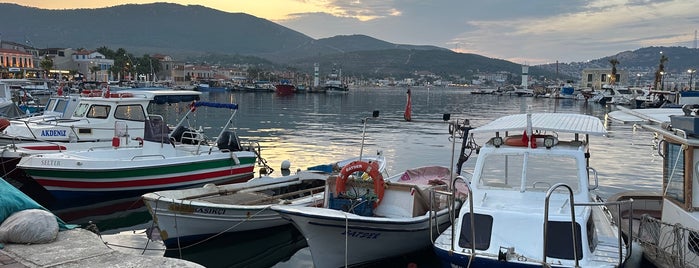 Eray Restaurant is one of Yeni Foça.