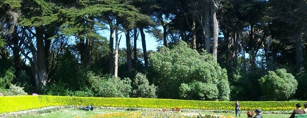 Queen Wilhelmina Tulip Garden is one of SF.