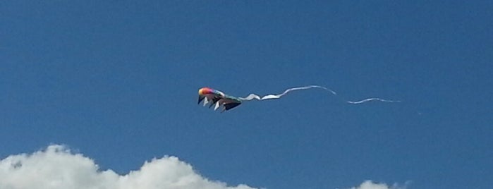 Royston Kite Festival (First Sunday In August) is one of Shows.