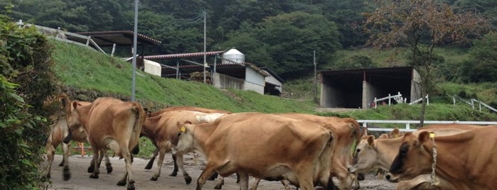 KOUZU Dairy Farm is one of 牧場.
