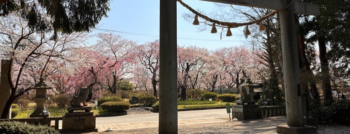 駒形神社 is one of 別表神社 東日本.