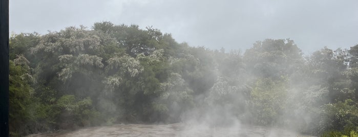 Pohutu Geyser is one of Tempat yang Disukai Lewin.