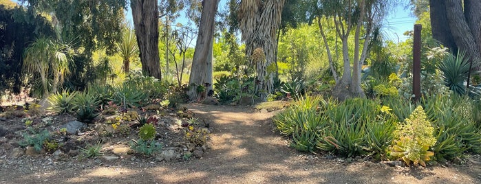 Ruth Bancroft Garden is one of Bay Area.