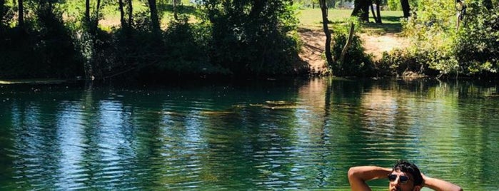 Lieux qui ont plu à Teresa