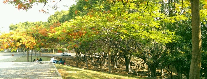 Parque Siqueiros is one of Lieux qui ont plu à Ligia.