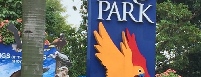 Jurong Bird Park is one of Singapore Attractions.