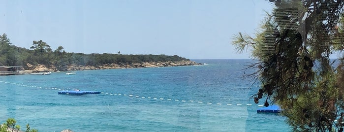 Sea Gang Hapimag Bodrum is one of Yasemin'in Beğendiği Mekanlar.