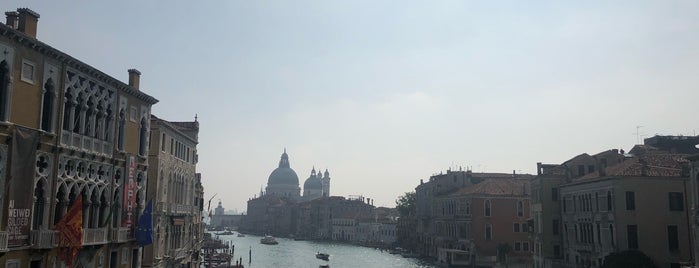 Ponte dell'Accademia is one of Daisy 님이 좋아한 장소.