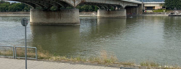 Népfürdő utca (Árpád híd) (D11, D12) is one of BKV D11 kikötők.