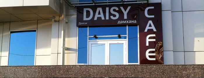 Daisy is one of Astana.