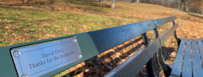 David Ortiz Bench is one of Central Park🗽.
