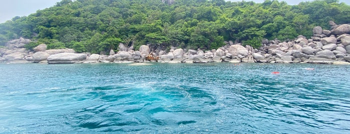 Japanese Garden is one of Koh Tao Dive Spots.
