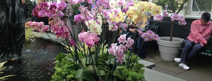 The Orchid Show At New York Botanical Gardens is one of Pretend I'm a tourist...NYC.