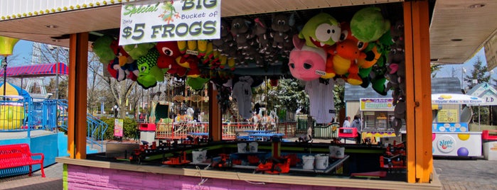 Frog Bog is one of Adventureland Games.