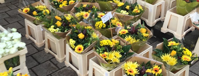 Zondagmarkt is one of Ghent.