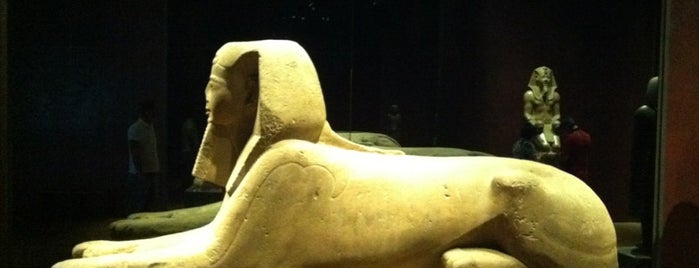 Egyptian Museum is one of * Torino.