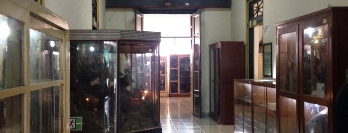 Museum Biologi is one of Museum In Indonesia.