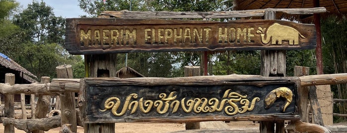Mae Rim Elephant Home is one of Thailand For Adventurers.