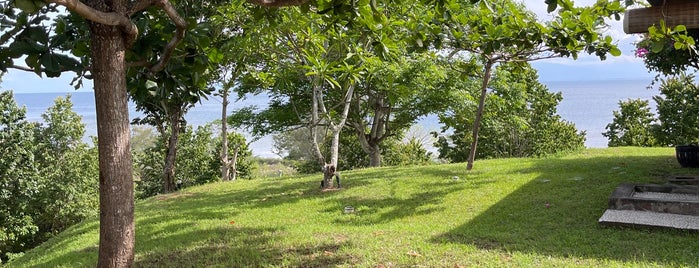 Gili Gede is one of GUIDE TO LOMBOK'S.