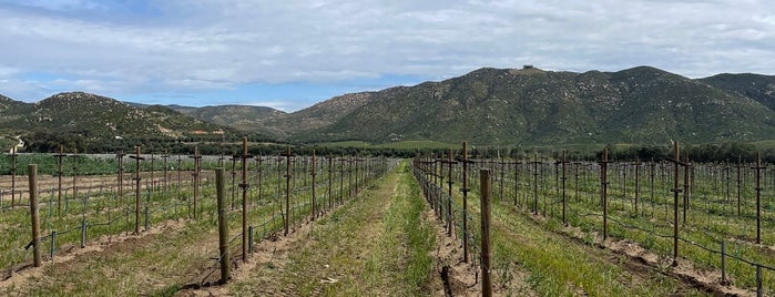 Bruma is one of Valle Guadalupe.