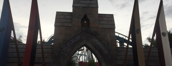 Dragon Challenge is one of Do Disney Shit.