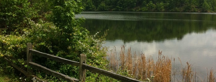 Silver Comet Coot's Lake is one of Cycling routes.