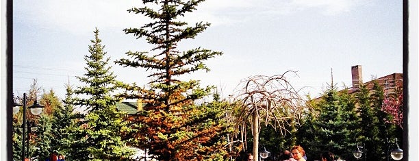 Çardak Cennet Bahçesi is one of Bahçeli Açık Hava Mekanlar.