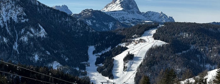 Col Toron is one of Super Dolomiti Ski Area - Italy.