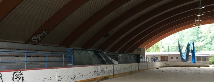 Zimní stadion Vlašim is one of Zimní stadiony v ČR.