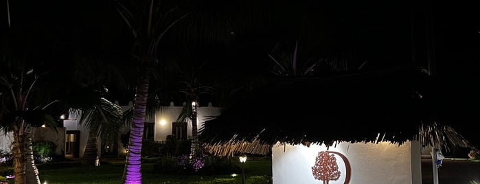 DoubleTree Resort by Hilton Hotel Zanzibar - Nungwi is one of zanzi.
