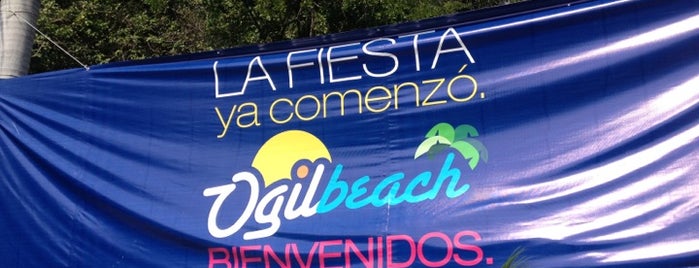 Ogilbeach is one of Amenazzaさんのお気に入りスポット.