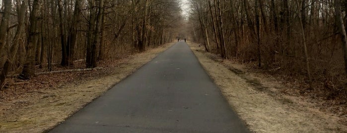 Dutchess Rail Trail is one of Poughkeepsie?.